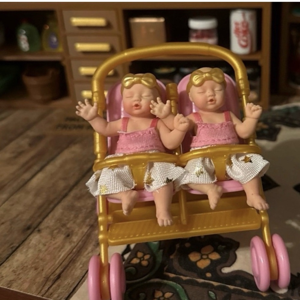 My mini baby twin girls in stroller